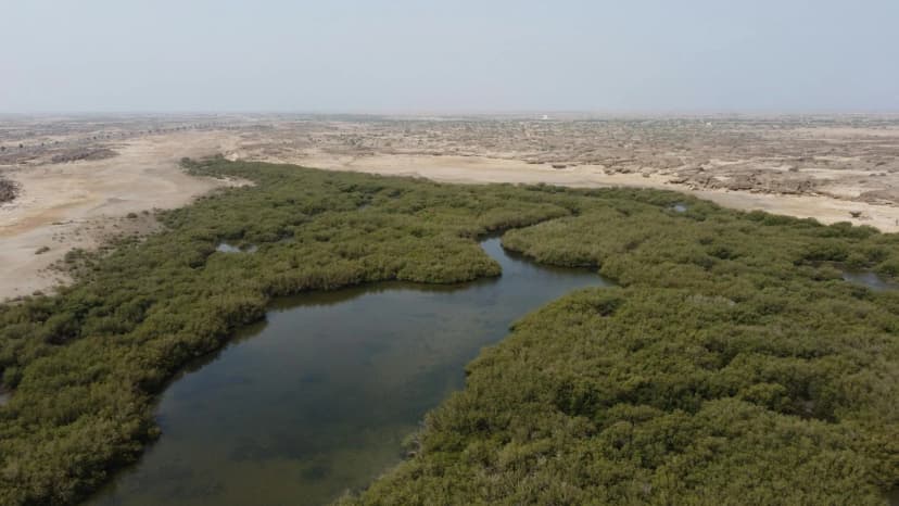 Jizan tropical coast