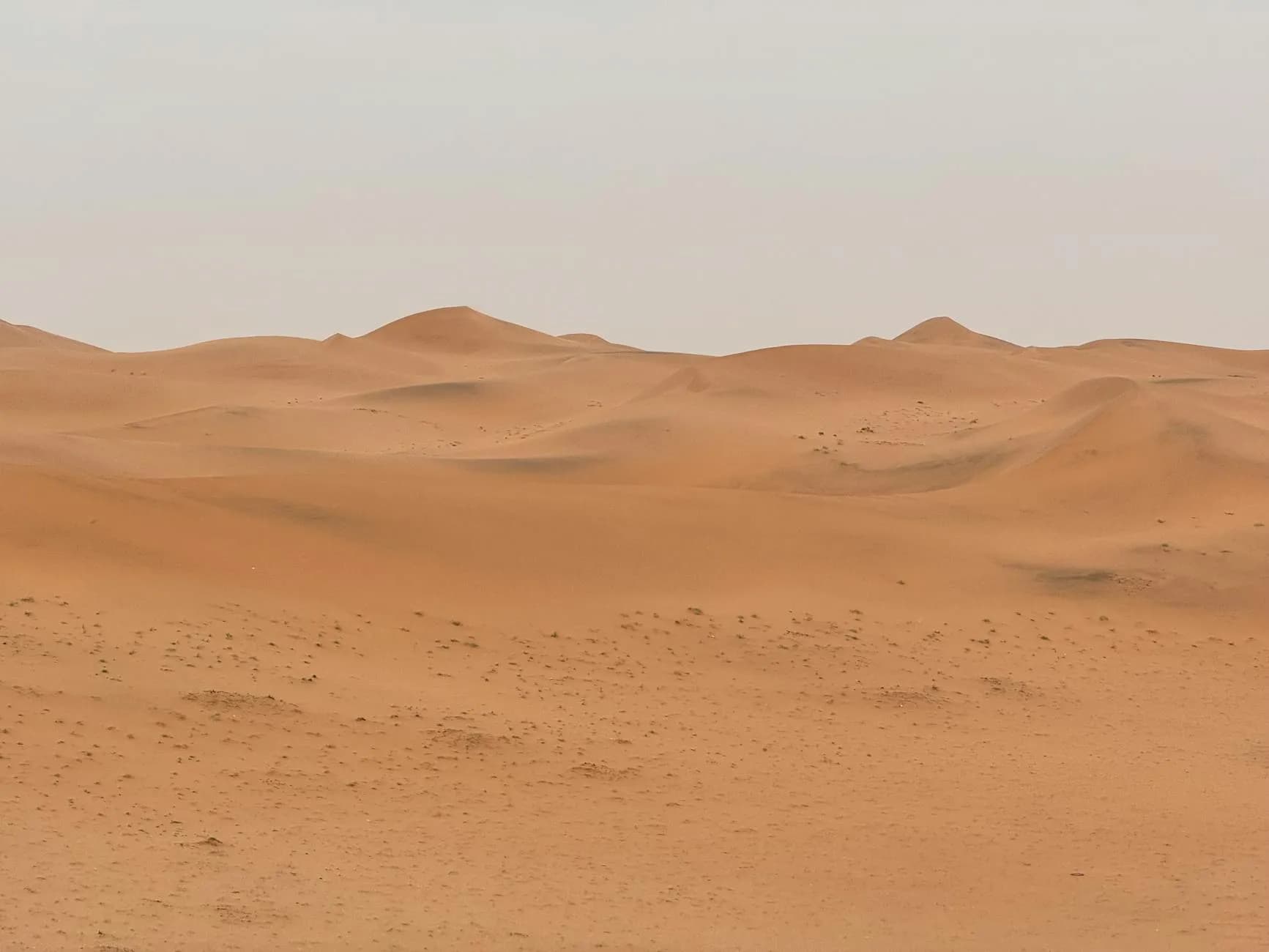 Nefud Desert