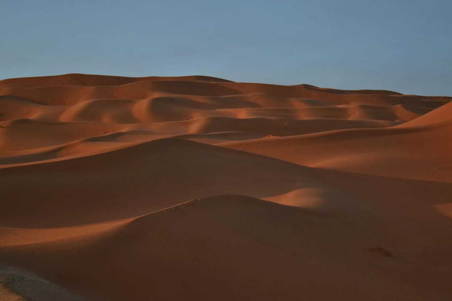 Red Sand Dunes (Al Kharrarah)