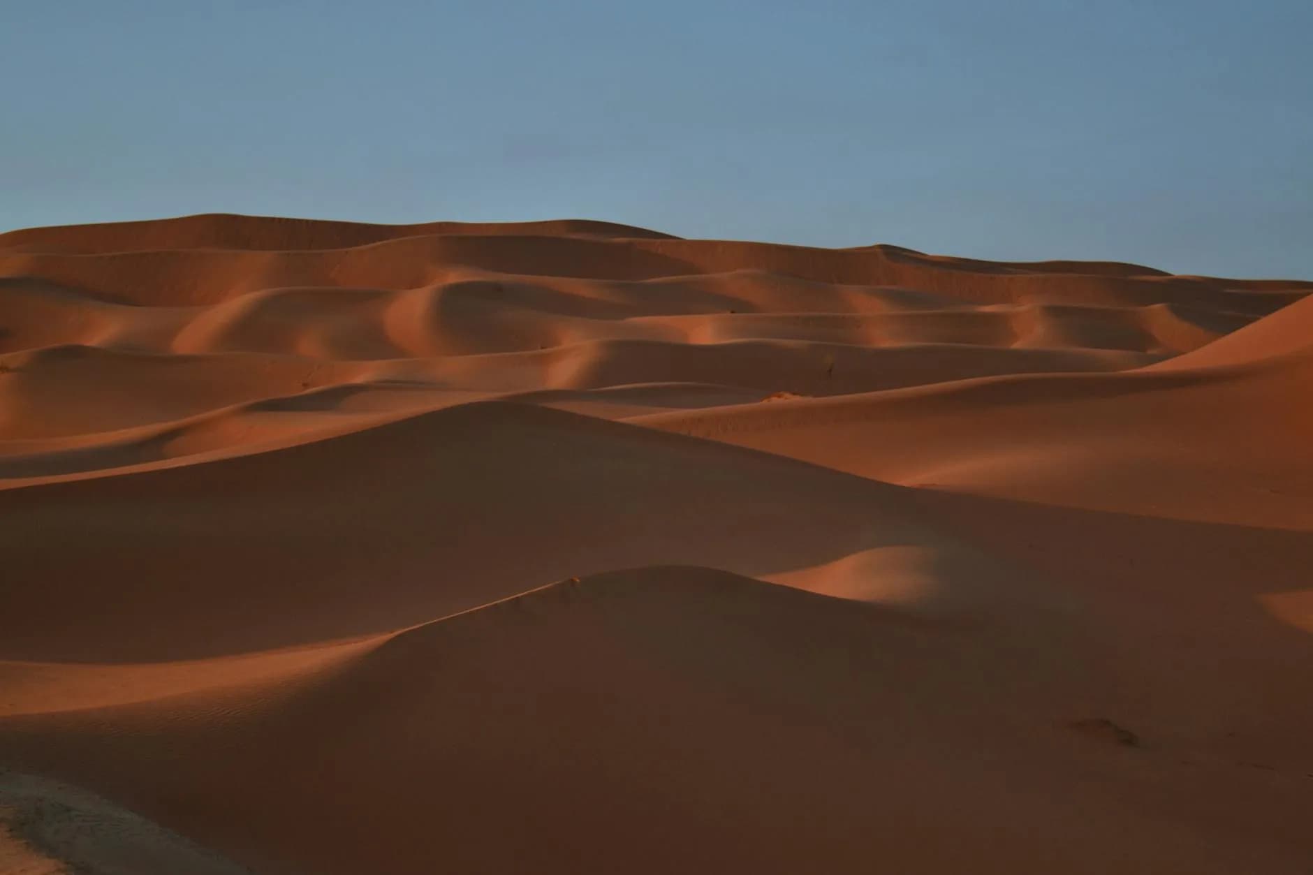 Red Sand Dunes (Al Kharrarah)