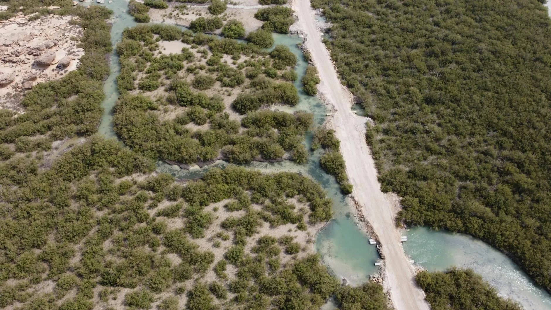 Jubail Mangrove Park